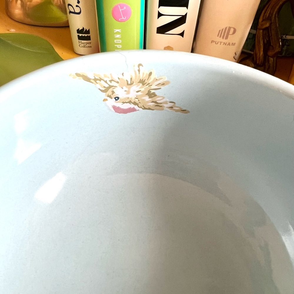 Songbird Garden by Rosie B. Farmer Bowl And Small Plate Sets Pink Blue Green - Picture 10 of 13